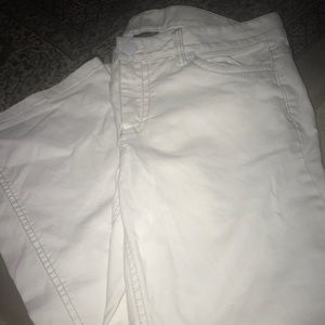 Ann Taylor Pants